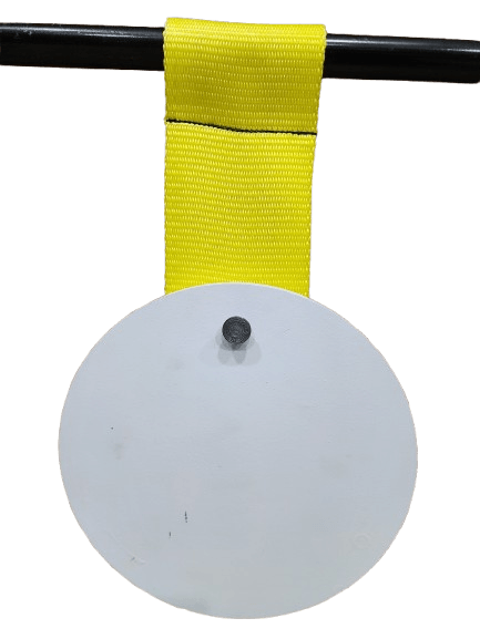 ipsc 250x10mm gong
